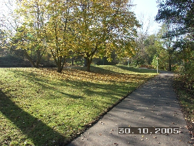 PICT0019