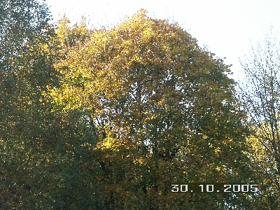PICT0022