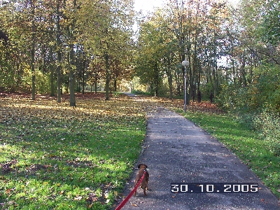 PICT0024