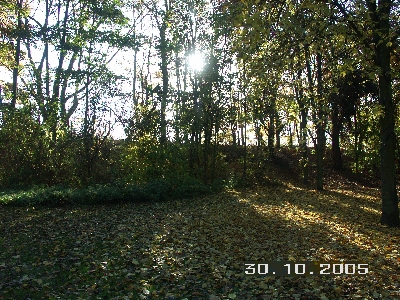 PICT0025