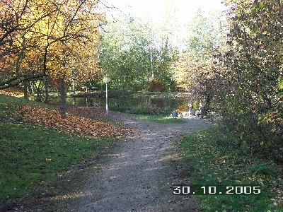 PICT0029