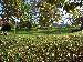 PICT0016