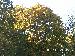 PICT0022