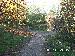 PICT0029