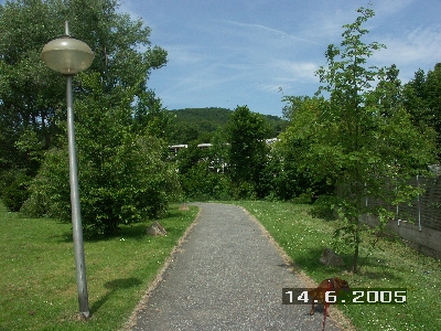 PICT0003