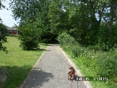 PICT0004
