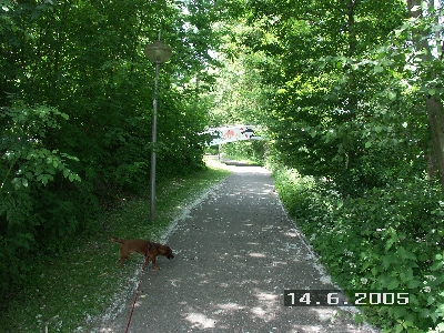PICT0005
