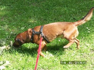 PICT0015