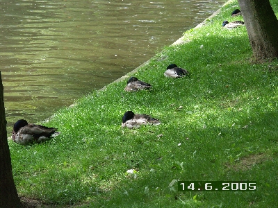 PICT0032