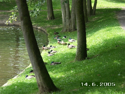 PICT0033