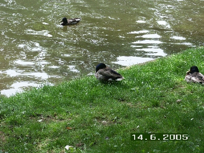 PICT0034