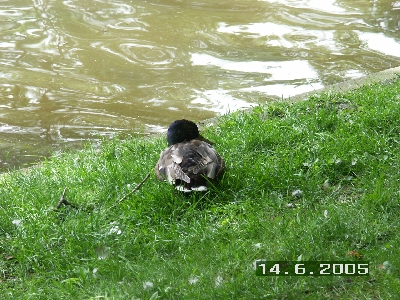 PICT0036