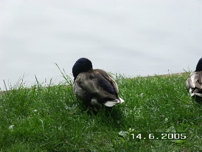 PICT0037