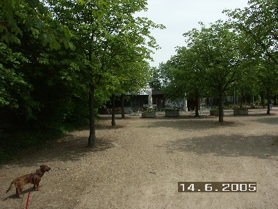PICT0048