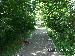 PICT0005