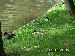 PICT0032