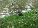 PICT0034