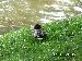PICT0036