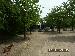 PICT0048