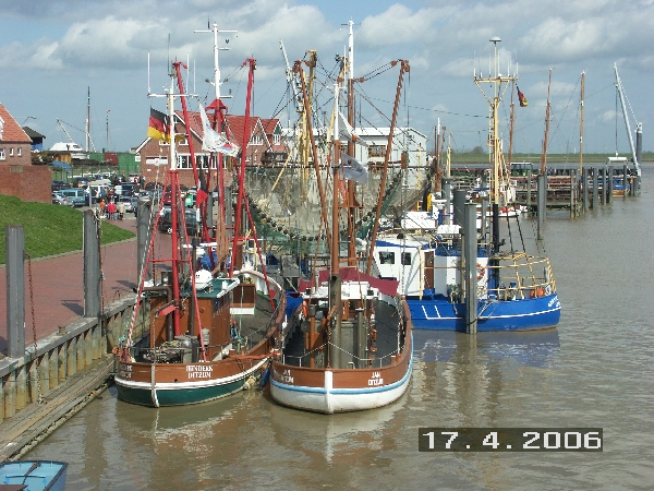 PICT0541