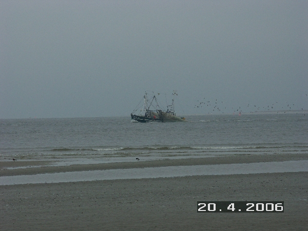 PICT0663