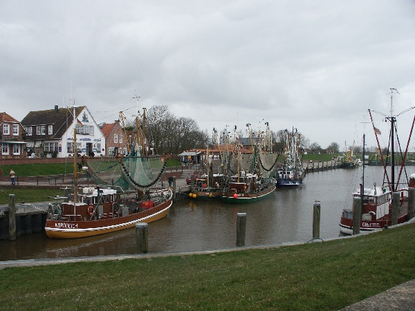 PICT2298